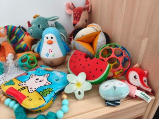 Lote Juguetes Bebé Peluches y Libros