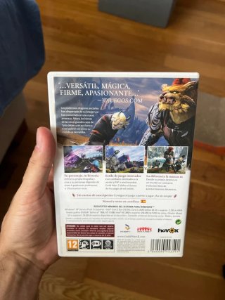 Guild Wars 2 PC DVD