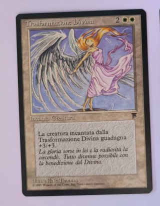 Pack 4 Cartas Magic Homelands (1995)