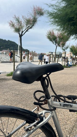 Bicicleta de paseo plateada