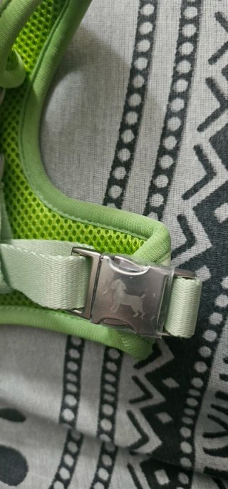 Arnés Perro Florence By Mills Verde Talla XS-S