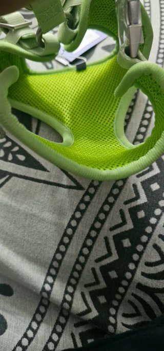 Arnés Perro Florence By Mills Verde Talla XS-S