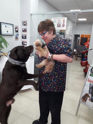TRASPASO PELUQUERIA CANINA POR PREJUBILACION