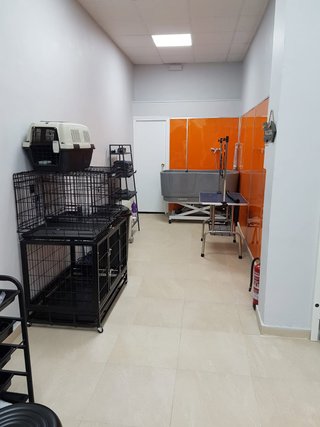TRASPASO PELUQUERIA CANINA POR PREJUBILACION
