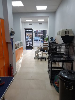 TRASPASO PELUQUERIA CANINA POR PREJUBILACION