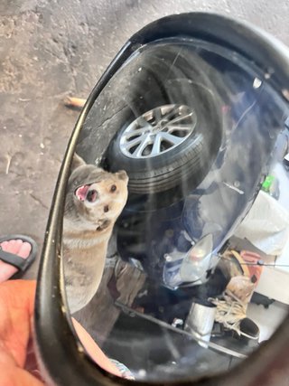 Retrovisor Fiat Punto 2013 Izquierdo