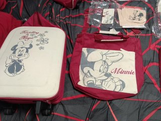 Juego de maletas.( La maleta hay una parte rasgada