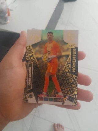 Cromo Panini LaLiga 2024-2025 Champions