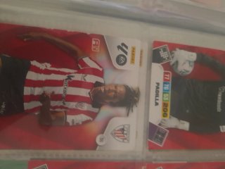 Cromo Panini LaLiga 2024-2025 Champions