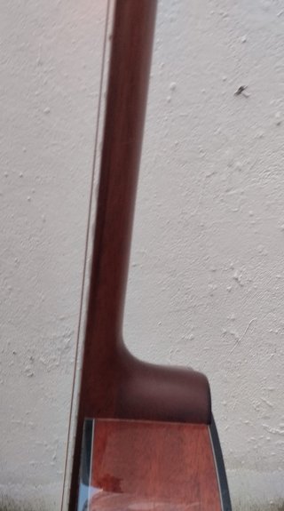 Andrew White Cybele 100J Jatoba Guitarra