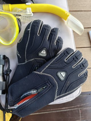 Equipo completo buceo: traje, aletas, máscara