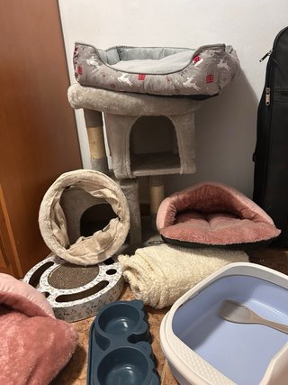 Pack gato: cama, arenero, rascador