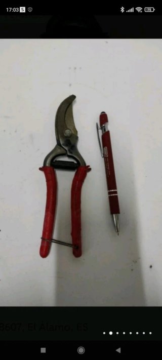 2 tijeras de podar