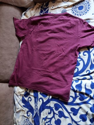 Camiseta The North Face Morada Hombre