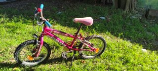 1+1 Bicicletas Niño/a Ruedas 18 y 16