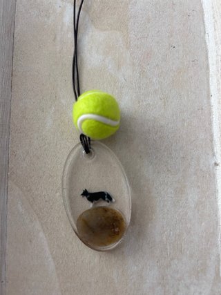 Collar Border Collie Miniatura