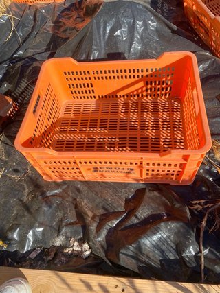 Cajas de plástico naranjas apilables