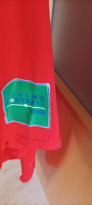 Camiseta España Iniesta 6