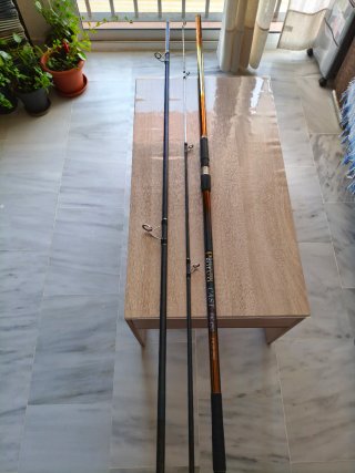 Caña Surfcasting PROTAKO CAST PK-450