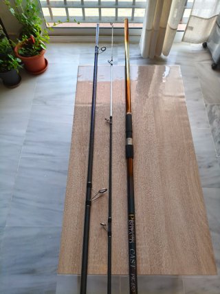 Caña Surfcasting PROTAKO CAST PK-450