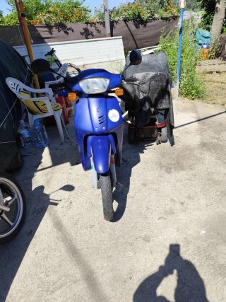 Honda Scoopy Azul