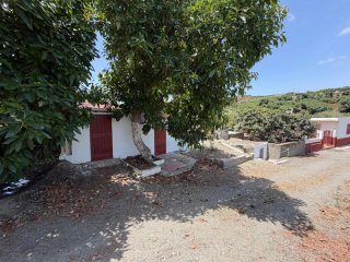 Venta Finca Rústica 3.988 m² Benamocarra con casa
