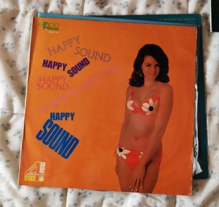 Vinilos Latinos (10 unidades)