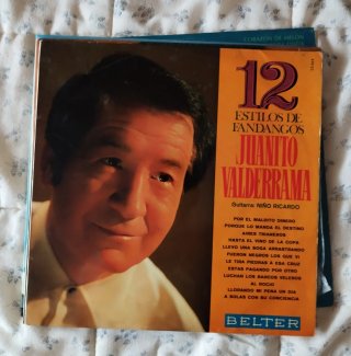 Vinilos Latinos (10 unidades)