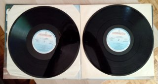 Vinilo Pardo por la música - 1985