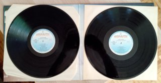 Vinilo Pardo por la música - 1985