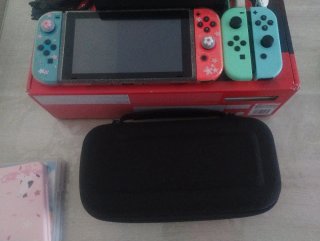 Nintendo Switch + microSD 256GB