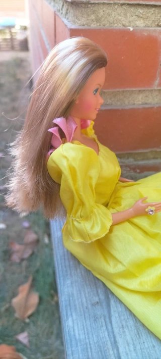 Muñeca Barbie Familia Corazón