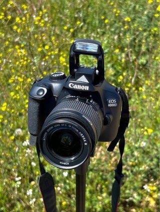 !!OFERTA!! CAMARAS DE FOTOS Y OBJETIVO DESDE 139€!