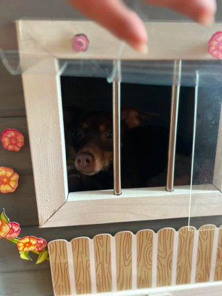 Casita de madera para perro con porche