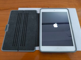 iPad Mini 1ª Gen Argento