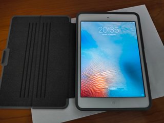 iPad Mini 1ª Gen Argento