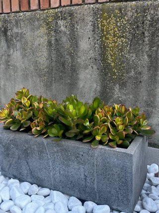 Jardinera 40cm Gris Piedra