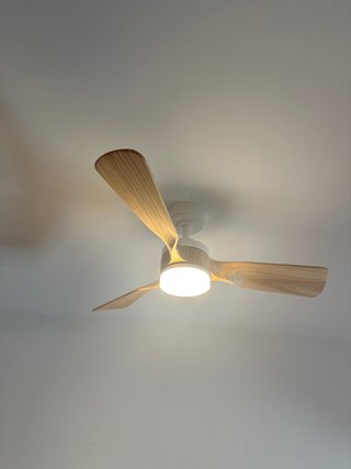 2 ventiladores de techo con luz y mando.