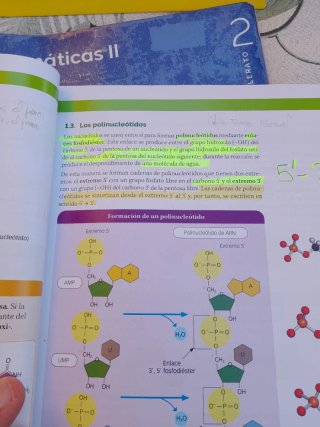 Biología, 2 Bachillerato, Proyecto Construyendo...