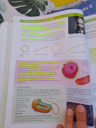 Biología, 2 Bachillerato, Proyecto Construyendo...