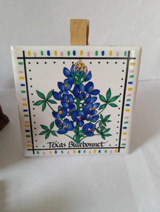 Recuerdos de Texas (EE.UU.)