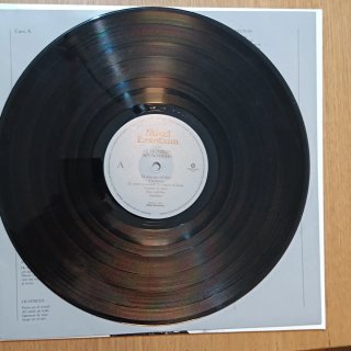 Mikel Erentxun - El Hombre Sin Sombra LP