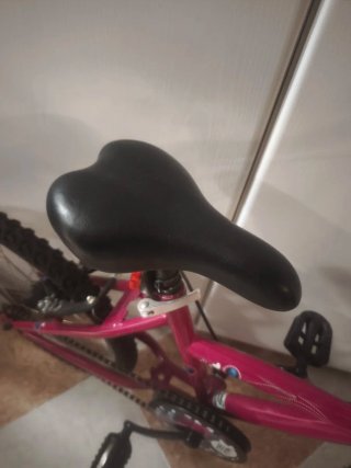 2 Bicicletas Niña 20" rosa y azul como nuevas