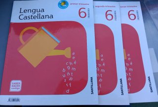 Lengua castellana 6 Primaria