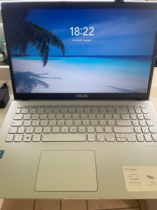 ASUS X509MA-BR310 Argento