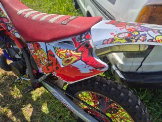 Gasgas EC 250 2001