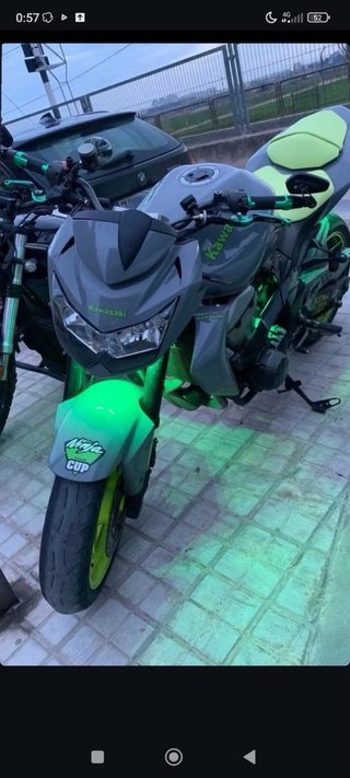 Kawasaki Z750 Naked Gris/Verde