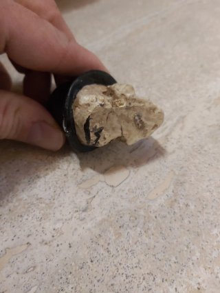Portapenne Teschio Fermacarte