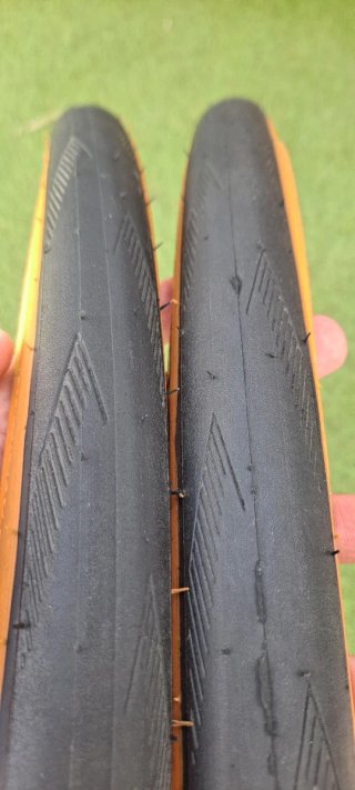 Cubiertas Schwalbe