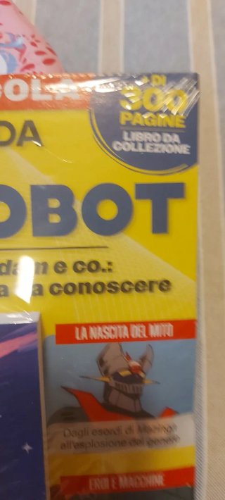 Grande Guida ai Super Robot